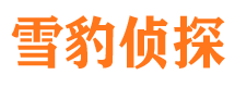 临湘外遇调查取证